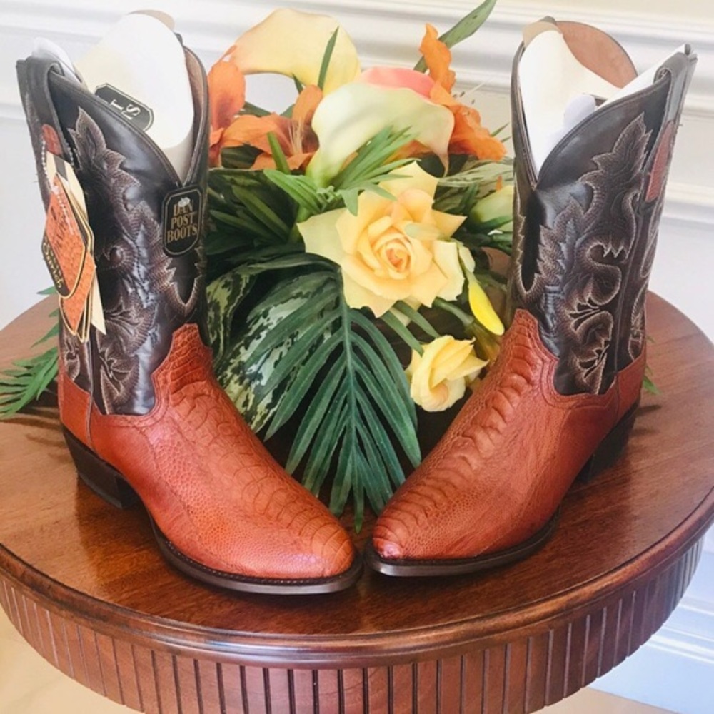 Dan Post Men’s OstrichLeg Cowboy Boots